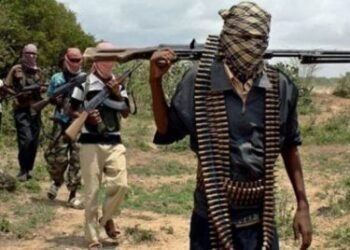 Terrorists Operating without Guns Slaughter Club Goers in Yobe