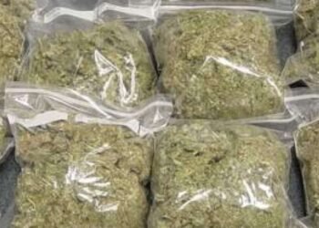 Police Arrest Man, Agbo Victor, with 250 Parcels of Indian Hemp