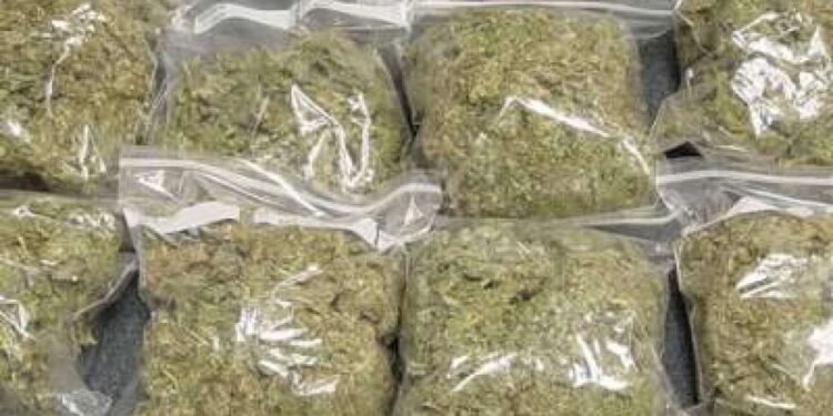 Police Arrest Man, Agbo Victor, with 250 Parcels of Indian Hemp
