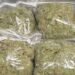 Police Arrest Man, Agbo Victor, with 250 Parcels of Indian Hemp