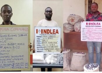 NDLEA Intercepts N1.1bn Travellers’ Cheques, 10.89kg Cocaine at Lagos Airport