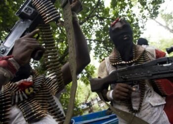 Gunmen attack Ebonyi community to protest Buhari’s visit