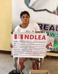 NDLEA Intercepts Large Drug Consignments, Arrests 9 Traffickers at Lagos, Abuja Airports