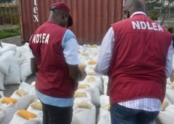 NDLEA nabs 100 Suspects, Dismantles 14 Drug Joints in Kaduna