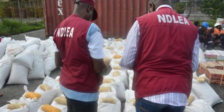 NDLEA nabs 100 Suspects, Dismantles 14 Drug Joints in Kaduna