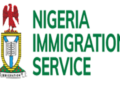 Organ Harvest Saga! Immigrations Opens up on Role in Nwanini’s Age, Passport