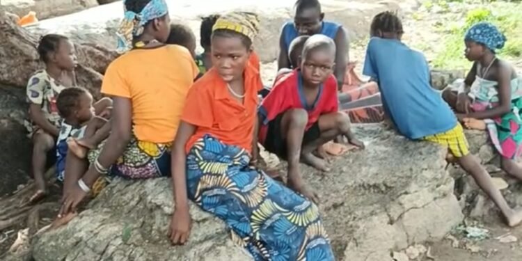 Being Their Neighbours’ Keepers – tale of Niger’s Kagara community and its emergency’ IDPs’ 