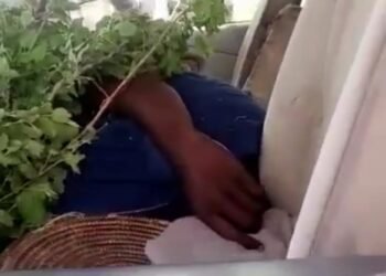 Again, Bandits Strike in Katsina, Kill Commuters, Abduct Several Others 