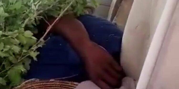 Again, Bandits Strike in Katsina, Kill Commuters, Abduct Several Others 