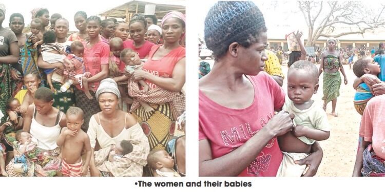 Harvest of Babies at Benue IDPs’ Camps as 80 Delivered in 7 Months