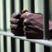 DPO, 60 others Bag Jail Term for Drug Trafficking