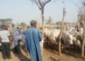 Owo Church: Herdsmen Blame Akeredolu for Reprisal Attacks, Demand Compensation from Ondo Govt