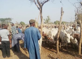 Owo Church: Herdsmen Blame Akeredolu for Reprisal Attacks, Demand Compensation from Ondo Govt