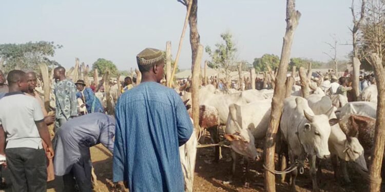 Owo Church: Herdsmen Blame Akeredolu for Reprisal Attacks, Demand Compensation from Ondo Govt