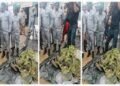 Customs Intercepts Explosive-making Chemicals in Ogun