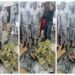 Customs Intercepts Explosive-making Chemicals in Ogun