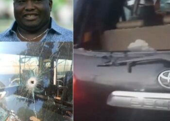 Attack on Sen Ifeanyi Ubah Unfortunate, Condemnable — Peter Obi grieves