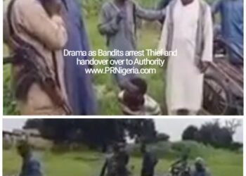 Katsina: Terrorists on Patrol ‘Arrest’ Thief, Hand Him over to the Authorities