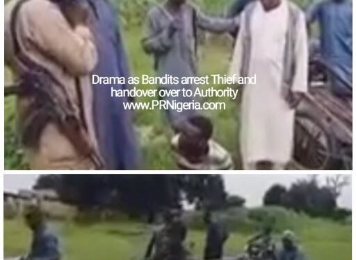 Katsina: Terrorists on Patrol ‘Arrest’ Thief, Hand Him over to the Authorities