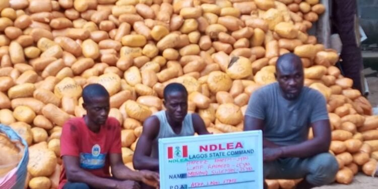 Illicit Drugs: 75-year-old Grandpa, 21 Others Arrested by NDLEA