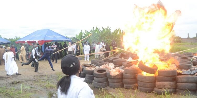 NDLEA Sets Ablaze 1.8 tonnes of Cocaine Worth N194Bn