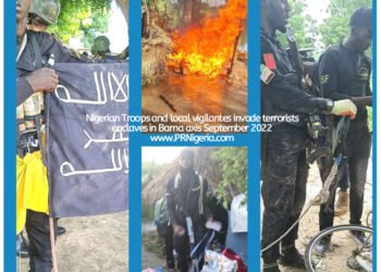 Borno: Troops in Cahoots with Vigilantes Eliminate 100 Terrorists in Bama