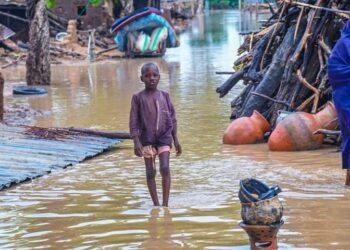 APC Women Wing Donates N20m to Damaturu Flood Victims 