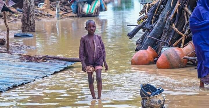 APC Women Wing Donates N20m to Damaturu Flood Victims 