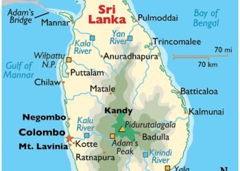 42 Children Hospitalised after Attack by Wasps in Sri Lanka