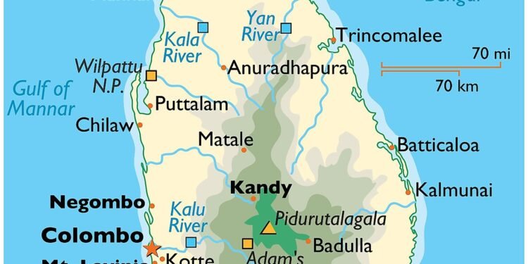 42 Children Hospitalised after Attack by Wasps in Sri Lanka