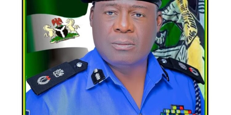 Police Arrest 12-year-old in Bauchi over  Kidnap of 3-year-old