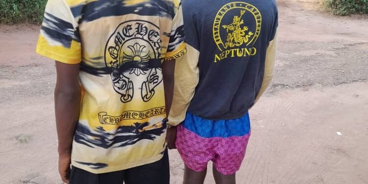 Caught in the Act! 2 Teenage Ritualists Nabbed in Edo by Vigilante Operatives