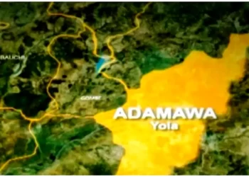 Committee Resolves 90% of Complaints by Herders, Farmers in Adamawa