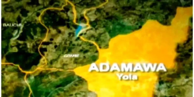 Committee Resolves 90% of Complaints by Herders, Farmers in Adamawa