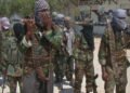 Somali Army Kills 5 al-Shabaab Militants in Southern Region | METROWATCH