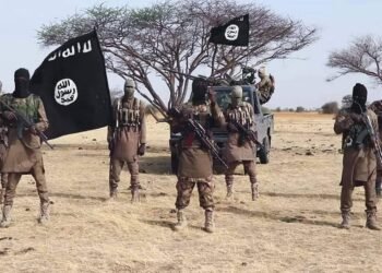 Troops Kill 6 Insurgents as ISWAP Commander ‘Dies After Snake Bite’ in Borno | METROWATCH