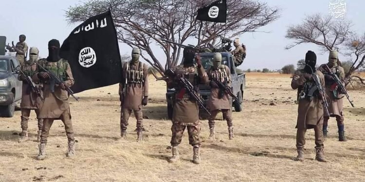 Troops Kill 6 Insurgents as ISWAP Commander ‘Dies After Snake Bite’ in Borno | METROWATCH