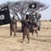 Troops Kill 6 Insurgents as ISWAP Commander ‘Dies After Snake Bite’ in Borno | METROWATCH
