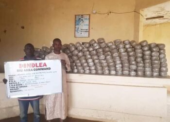 NDLEA Destroys 3 Tons of Skunk in Edo Forest, Seizes 76.9kg Loud from Canada | METROWATCH