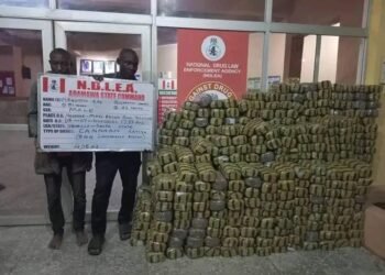 NDLEA Seizes 4,560kg of Skunk in Lagos, Adamawa, Osun | METROWATCH