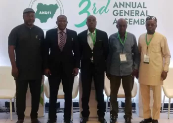 Pitan, Bank of Industry MD, Canvasses ‘Creative Ideas to overcome Financing Gaps of DFIs’ | METROWATCH