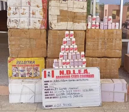 NDLEA