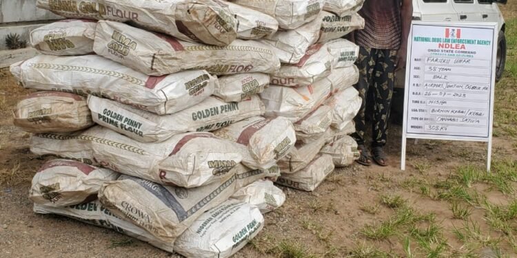 NDLEA Arrests Artistes’ Manager, Businessman who Sell Drugs at Lekki, Lagos Island Clubs | METROWATCH