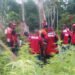 NDLEA Destroys 33 Hectares of Cannabis Farms in Ondo, Edo | METROWATCH