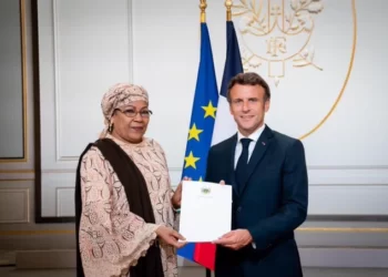 Coup: Nobody Can Sack Me, Niger Ambassador to France Boasts | METROWATCH