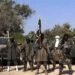 REVEALED | Air Strikes Forcing Terrorists to Seek Negotiation with Nigeria Government | METROWATCH