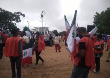 NLC Protest Held in Borno amidst Low Turnout of Workers | METROWATCH