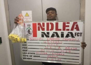NDLEA Arrests 2 Wanted Drug Barons, Others for Ingesting 175 Wraps of Heroin | METROWATCH