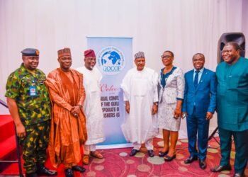 Mohammed Idris Asks Online Publishers  to ‘Promote Positive Reports about Nigeria’ | METROWATCH