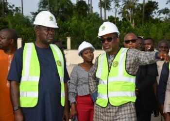 Nigerian Content Key to Meeting ‘Renewed Hope’ Agenda, Says Heineken Lokpobiri | METROWATCH